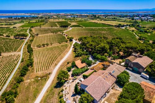 Château le Bouïs Hotel & Wine 1
