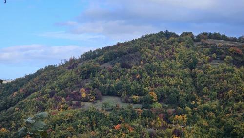 Casa del Falco gîte à louer Castelnovo ne' Monti