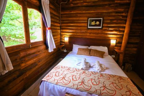 Mendoza Sol y Nieve in Mendoza