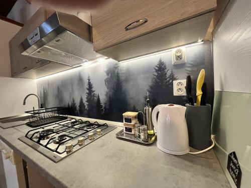 Residence Ružbaský - Comfort Stay with Private Parking (Residence Ruzbasky - Comfort Stay with Private Parking) in Stara Lesna