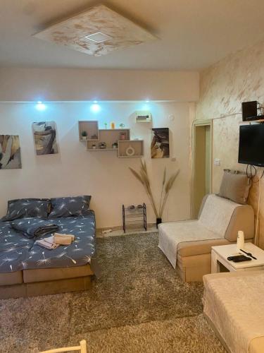 ---Studio Radosavljevic---