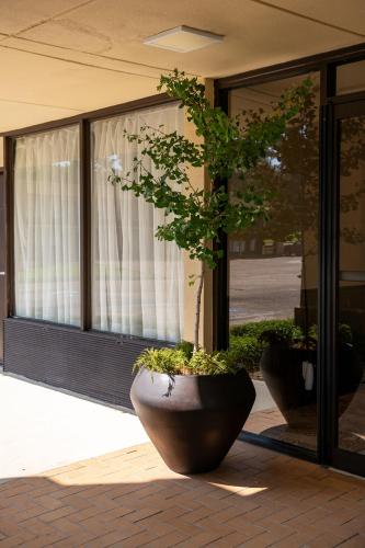 Hotel Francis in Saint Francisville, USA