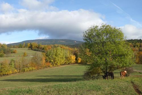 Vista exterior, MausHaus in Rudnik