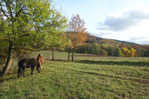 Vista exterior, MausHaus in Rudnik
