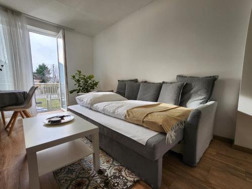 Sunny City Center Apartment, free parking in Pöstyén