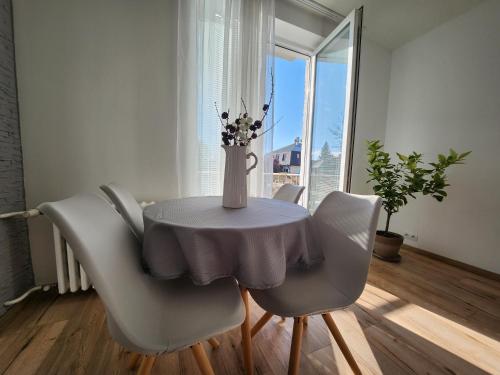 Sunny City Center Apartment, free parking in Pöstyén