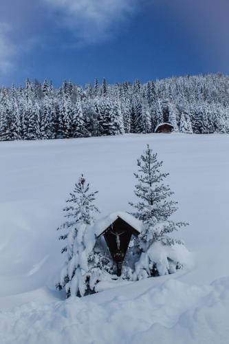 Gästepension Klammer