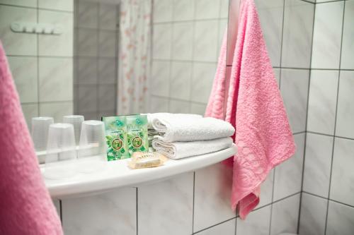 Hotel Beskid - Bielsko-Biala