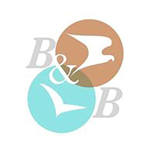 Il Falco e Il Gabbiano - image 3