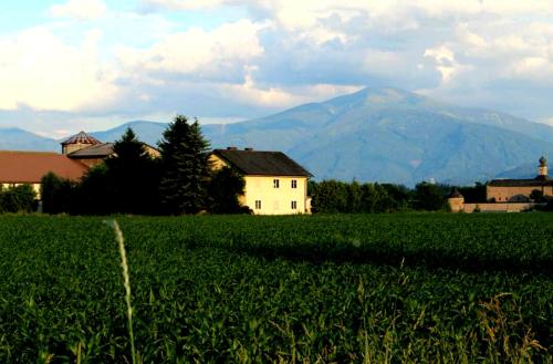 Murtal Ferienwohnung, Pension in Fohnsdorf bei Sankt Peter ob Judenburg