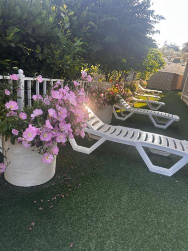 Ain W Zein guest house in Khraibeh