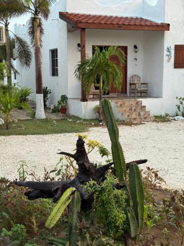 Azteca Villas – khách sạn tại Treasure Beach