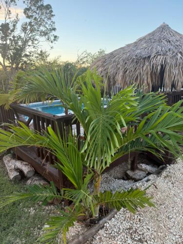 Azteca Villas in Treasure Beach