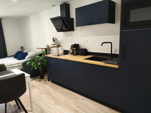 Studio à 150m du village (Studio a 150m du village) in Chateauroux-Alpes
