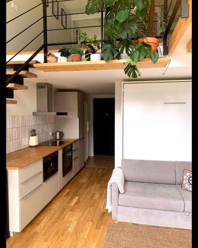Vilnius Cozy Loft Room Type - One-Bedroom Apartment with Balcony