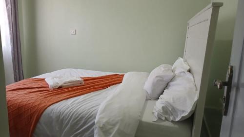 Nanyuki one bedroom in 納紐基