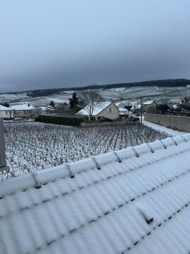 Gîte indépendant Diz'enreves au cœur des vignes (Gite independant Diz'enreves au cœur des vignes) in 迪齊