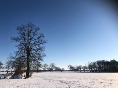 Natuurhuisje Even Niets - image 7
