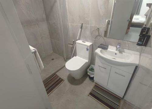 دش, 2 Double Beds, 3 Single Beds, and 2 Sofa Beds Serviced Studio in New Lynn