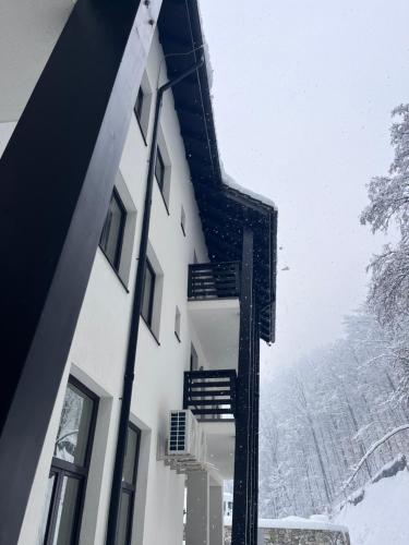 Agropensiune turistica Dor de Munte in Godeanu