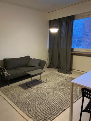 Yksiö Koulukadulla - autopaikka - Wi-Fi (Yksio Koulukadulla - autopaikka - Wi-Fi) in Seinäjoki