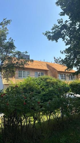 NEU in Keitum - Hochwertige Ferienwohnung unter Reet mit Strandkorb in Keitum, Deutschland