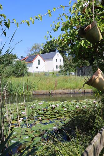 Exterior view, Schwalbennest Ferienhof Wolschendorf in Triptis