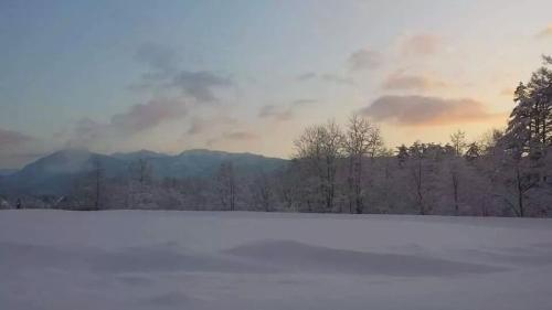 The Cultured Apartments Hakuba - image 4