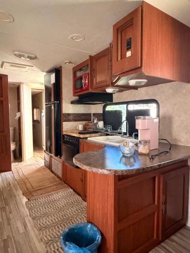 RV in the Little Jungle by Legnalife in 霍姆斯特德