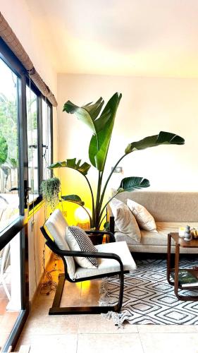 Sabinas place