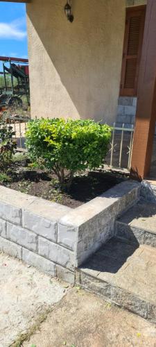 Chacra Villa Margarita in อาร์ติกัส