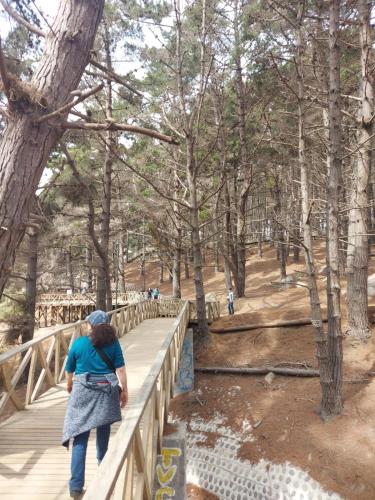 Cabañas Alquymia (Cabanas Alquymia) in Algarrobo