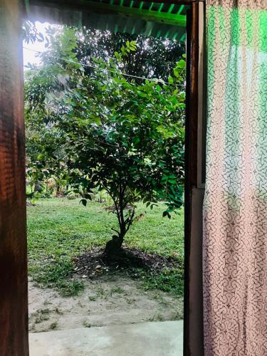 Alrededores, Otorongo Guest House in Iquitos