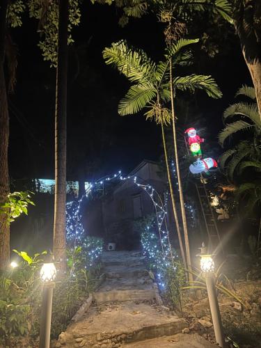 Benny Jungle home in 奧疇