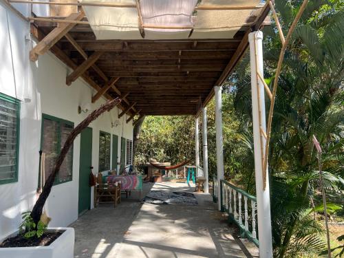 Benny Jungle home in 奧疇