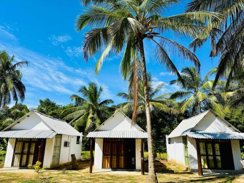 Pemandangan luar, Italiyano Safari Cottage in Udawalawe