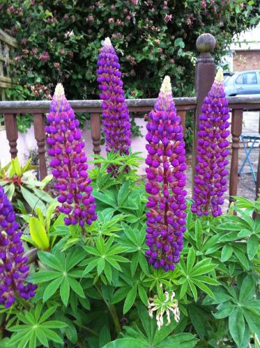 Fourwinds B&B - image 7