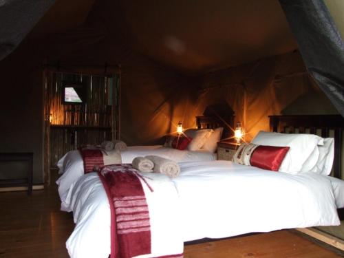 Agama Tented Camp