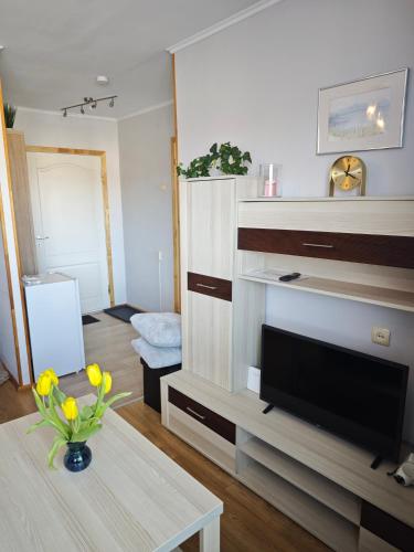 Station street apartments in Sigulda
