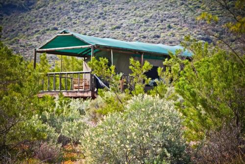 Agama Tented Camp