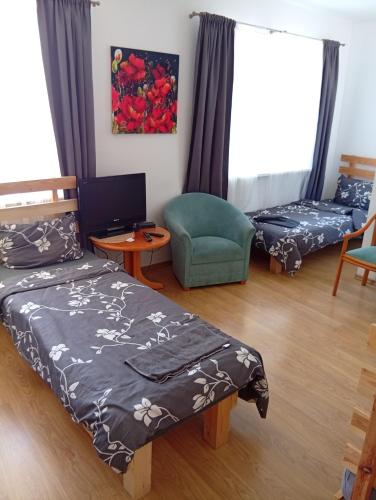 Svečių namai prie Širvintų (Sveciu namai prie Sirvintu) in 凱爾納維