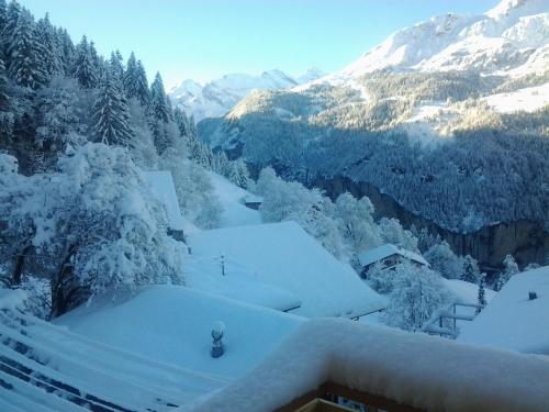 Chalet Viola - Verena's Loft - image 9