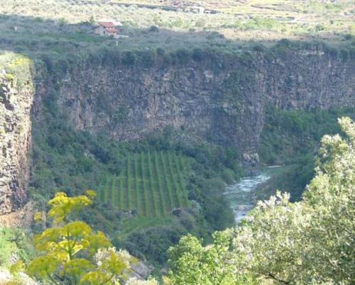  Cuntarati - Nature Tourism Simeto Etna, Pension in Bronte