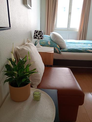 Central tiny studio in St. Gallen, Schweiz