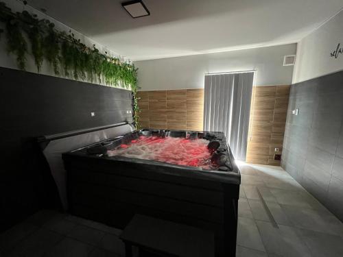 Gyógyfürdő, Relax Centrum Gol in Loucna Nad Desnou