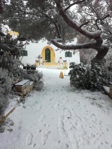 B & B Millefiori