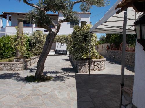 Il Merlo in Anacapri