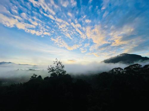 Scenic View - Ella 5