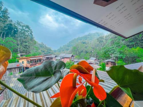 กินลมชมจันทร์ แม่กำปอง - Chiang Mai