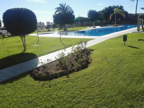 Hercules 213